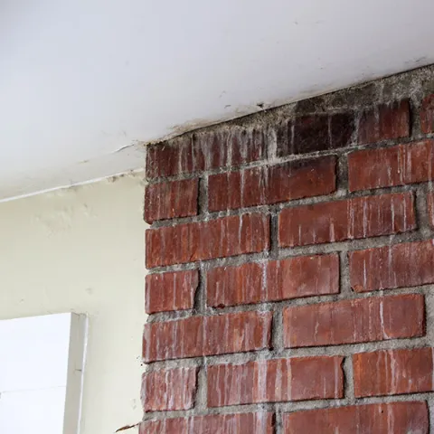 Why Choose The Chimney Inspection