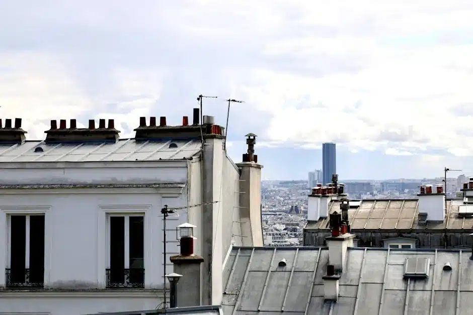 professional chimney sweep Dallas TX overview in Allen TX by The One Chimney Sweep